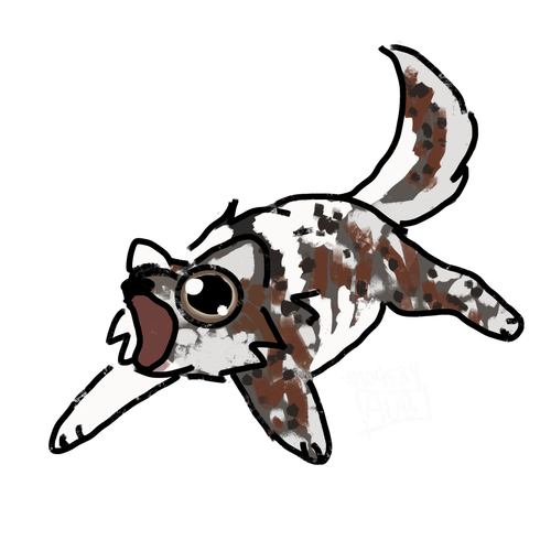 IMG 5799.png
