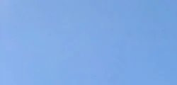 259da6e4b608.jpg