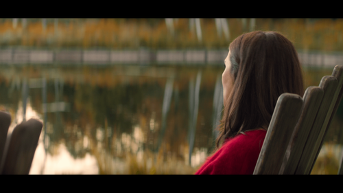 Vladimir.S01.2160p.NF.WEB DL.DDP5.1.Atmos.H.265 RAWR 06.png