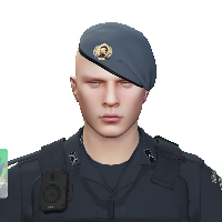 41d1db7c4ac5.png