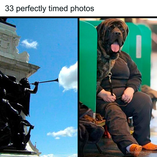 funny photography art.jpg