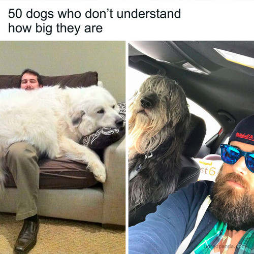10 (1).jpg