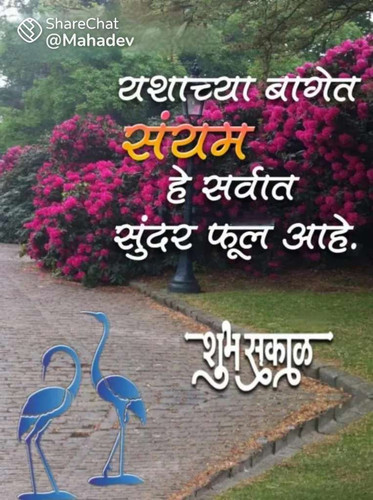 22fcebd38245.jpg
