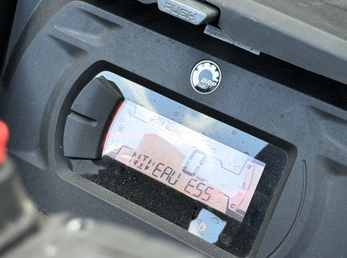 IMG 7359.jpg