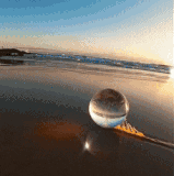 daily gifdump 3298 25.gif