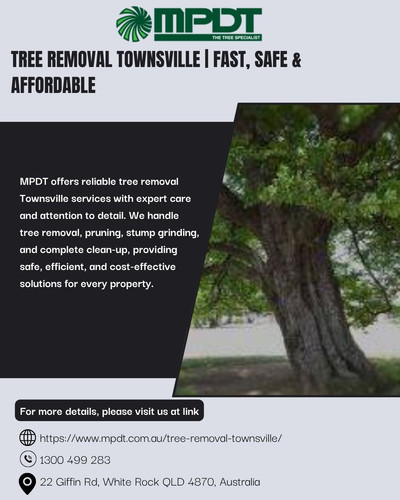 Tree Removal Townsville Fast, Safe & Affordable.jpg