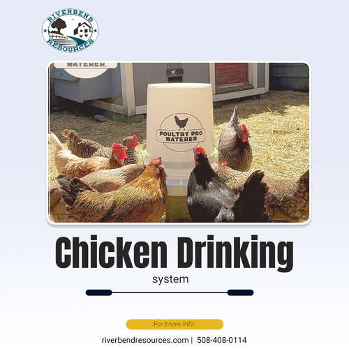 Chicken Drinking System.png
