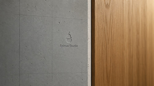 Spinus Studio Embossed Concrete Logo.jpg