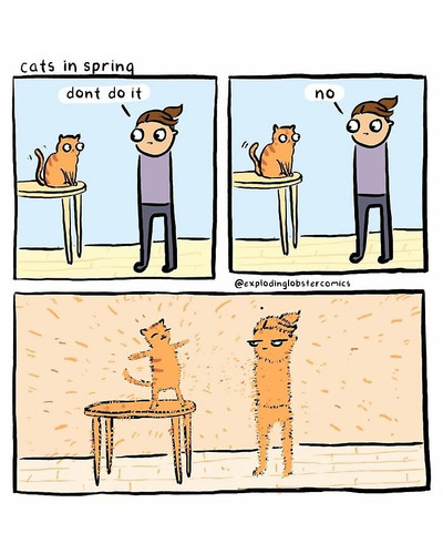 5 6a73d71b39cfd 700 bordered.jpg