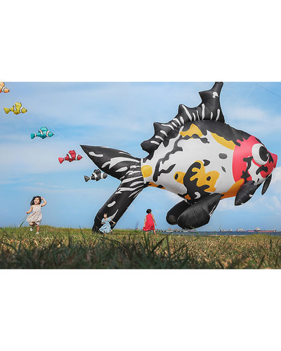 6ff3d8bc 0734 400f 9dd6 ccb779c44ea1 Playing with Fishes 6a72f26d4e757 700 bordered.jpg