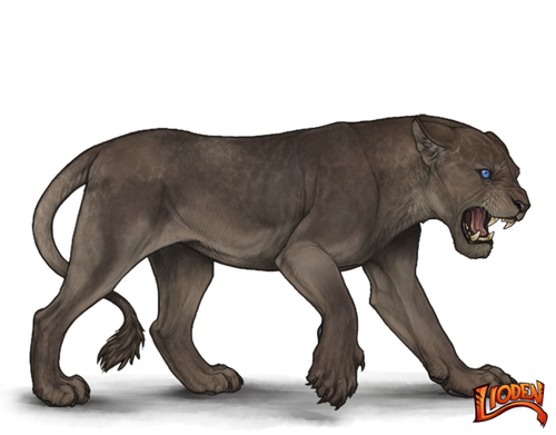 lioden wardrobe (4).png