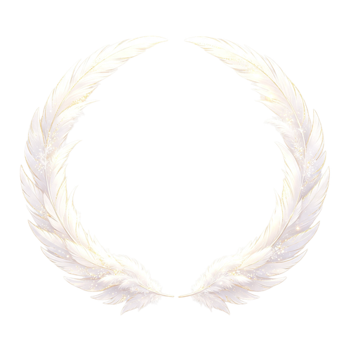 IMG 9964.png