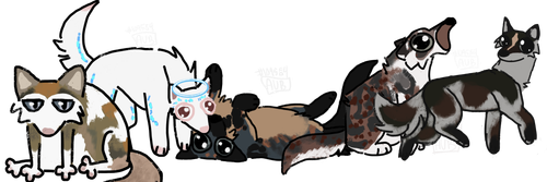 Untitled65 20260807192322.png