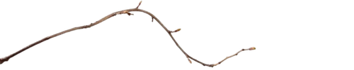 image 2026 08 07 222133116.png
