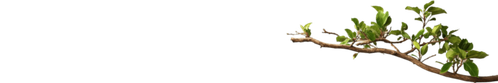 image 2026 08 07 222543572.png