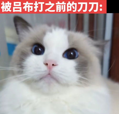 Screenshot 20260808 104540 com.ss.android.ugc.aweme.png