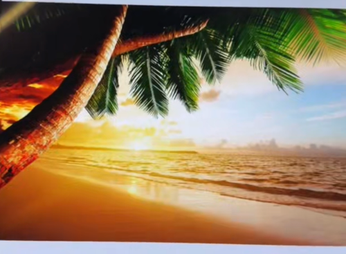 image 39aa1cdb 1ab8 4934 962a 08bd18d900df.png