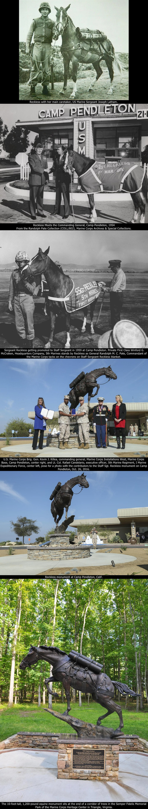 Sgt. Reckless America’s War Horse.jpg
