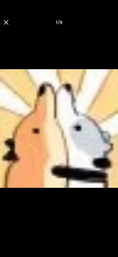 IMG 2413.png