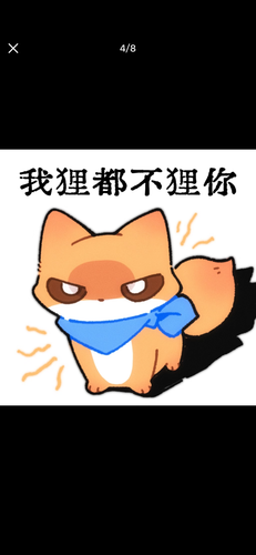 IMG 2416.png