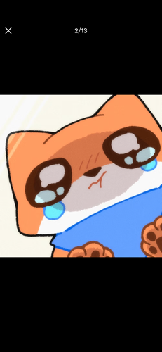 IMG 2420.png