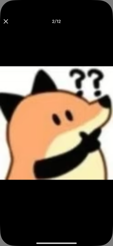 IMG 2403.png