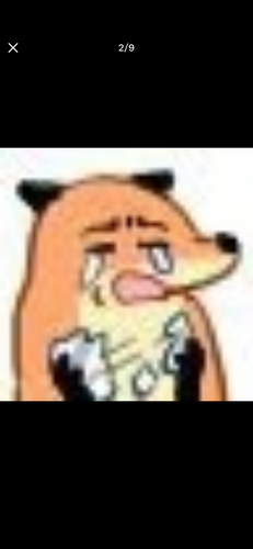 IMG 2414.png