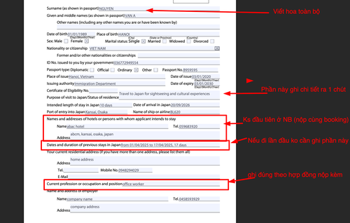 visa form 1.png