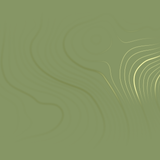 Energy Fields Warm green