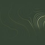 Energy Fields Humble green