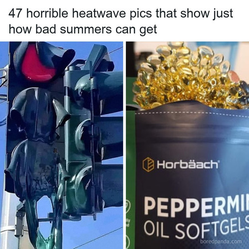 society world.jpg