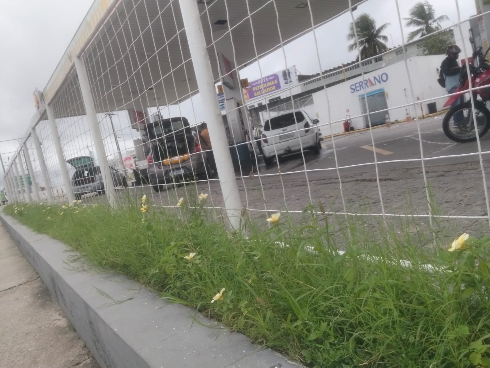 Foto de trabalho de JM JARDINAGEM no Indica Sergipe