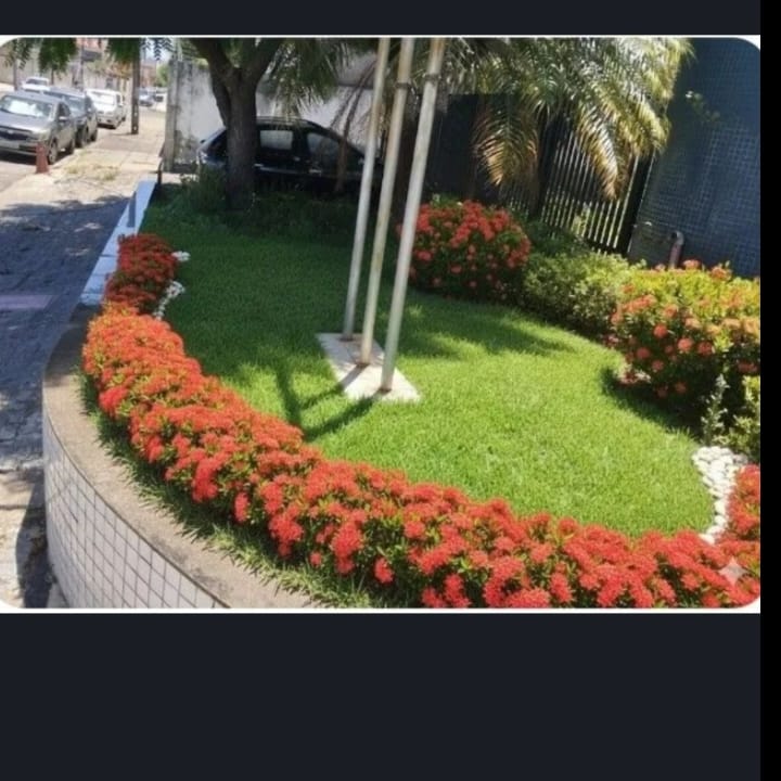 Foto de trabalho de JM JARDINAGEM no Indica Sergipe