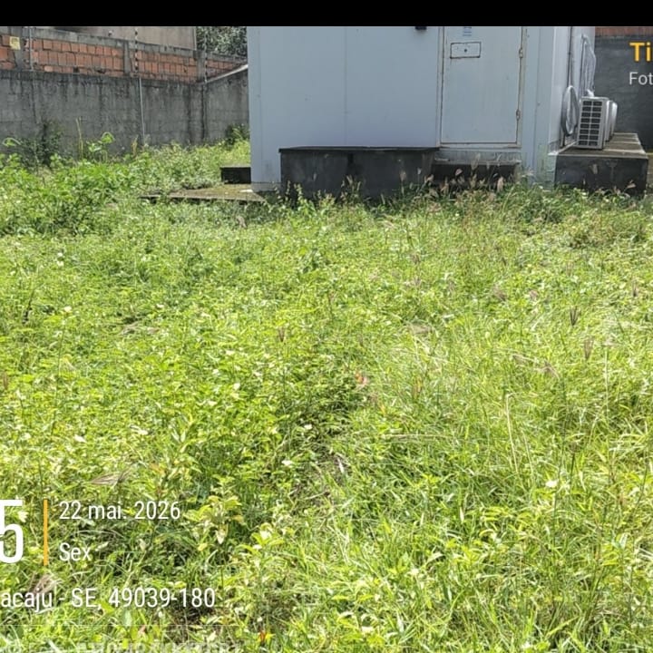 Foto de trabalho de JM JARDINAGEM no Indica Sergipe