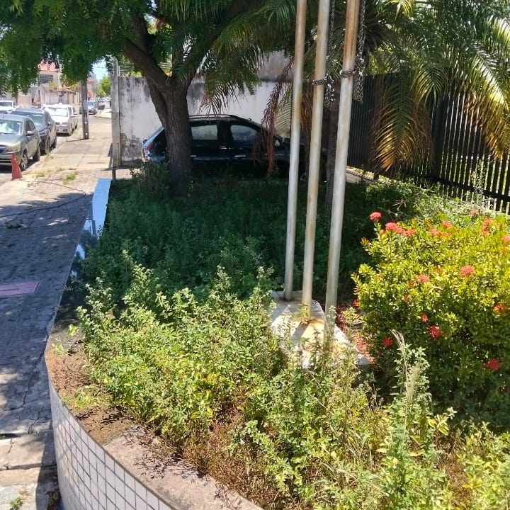Foto de trabalho de JM JARDINAGEM no Indica Sergipe