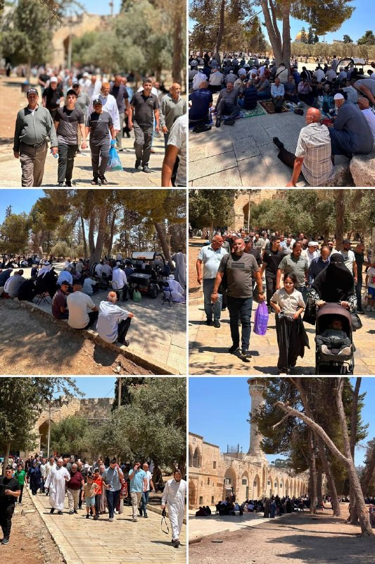 صورة الخبر
