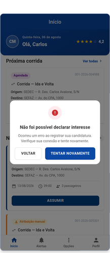 05 erro declarar.png