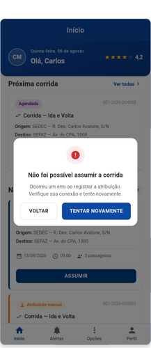 05 erro assumir.png