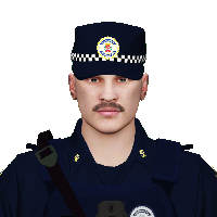 24c8d7a19161.png