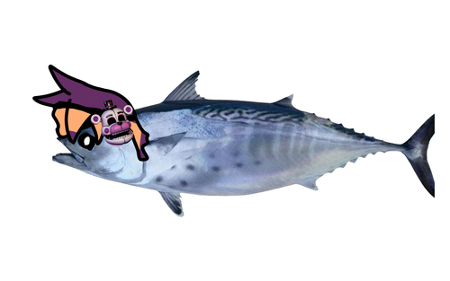 juanfranversion4.png