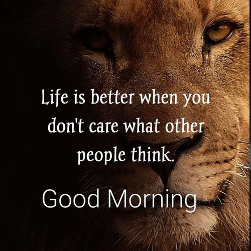 2e1afeb36566.1
