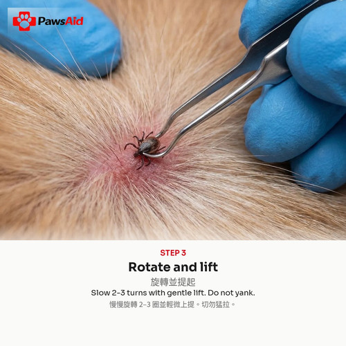 slide5 rotate.jpg