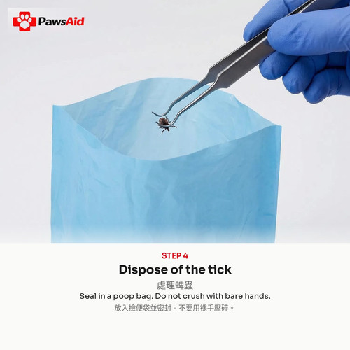 slide6 dispose.jpg