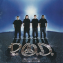 66a1220dd094.png
