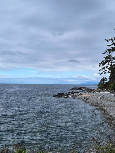 2024 at beach camp byng 2024.jpg