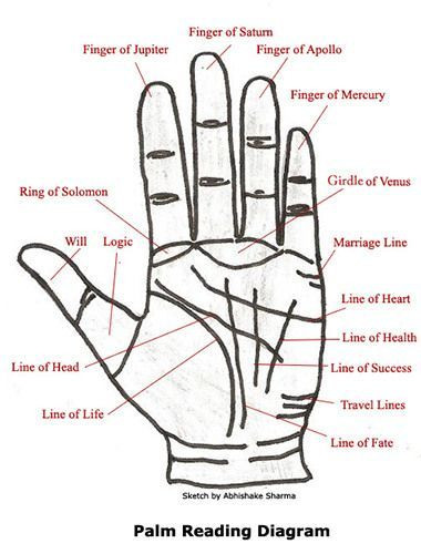 Palm Reading Experts in Gurugram.jpg