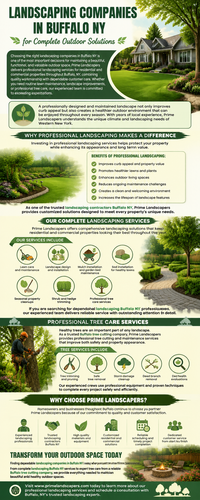 Landscaping Companies in Buffalo NY for Complete Outdoor Solutions.png