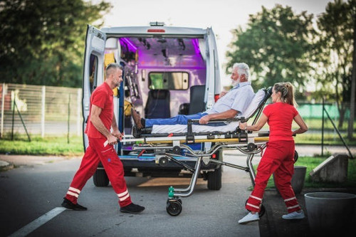 Health Transit | Greater Houston, Texas, United States | +17135309450 | https://healthtransit.ai/ | .jpg