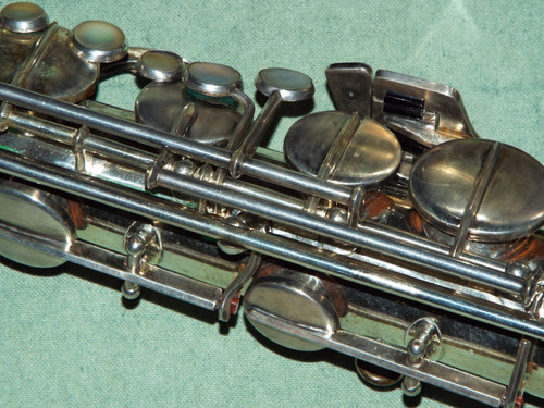 DSCF4118.jpg