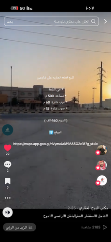 IMG 0317.png